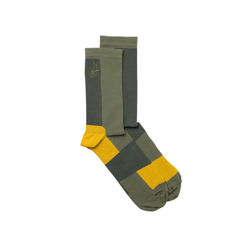 Campagnolo Become Speed Socks - Image 2