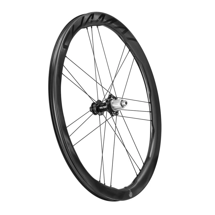 Campagnolo Shamal Dual Profile DB