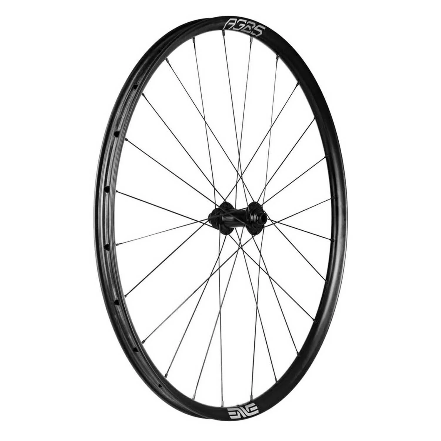 Enve Foundation AG 25 wheels