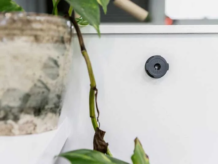 Quad Lock Adhesive Wall Mount - Image 5