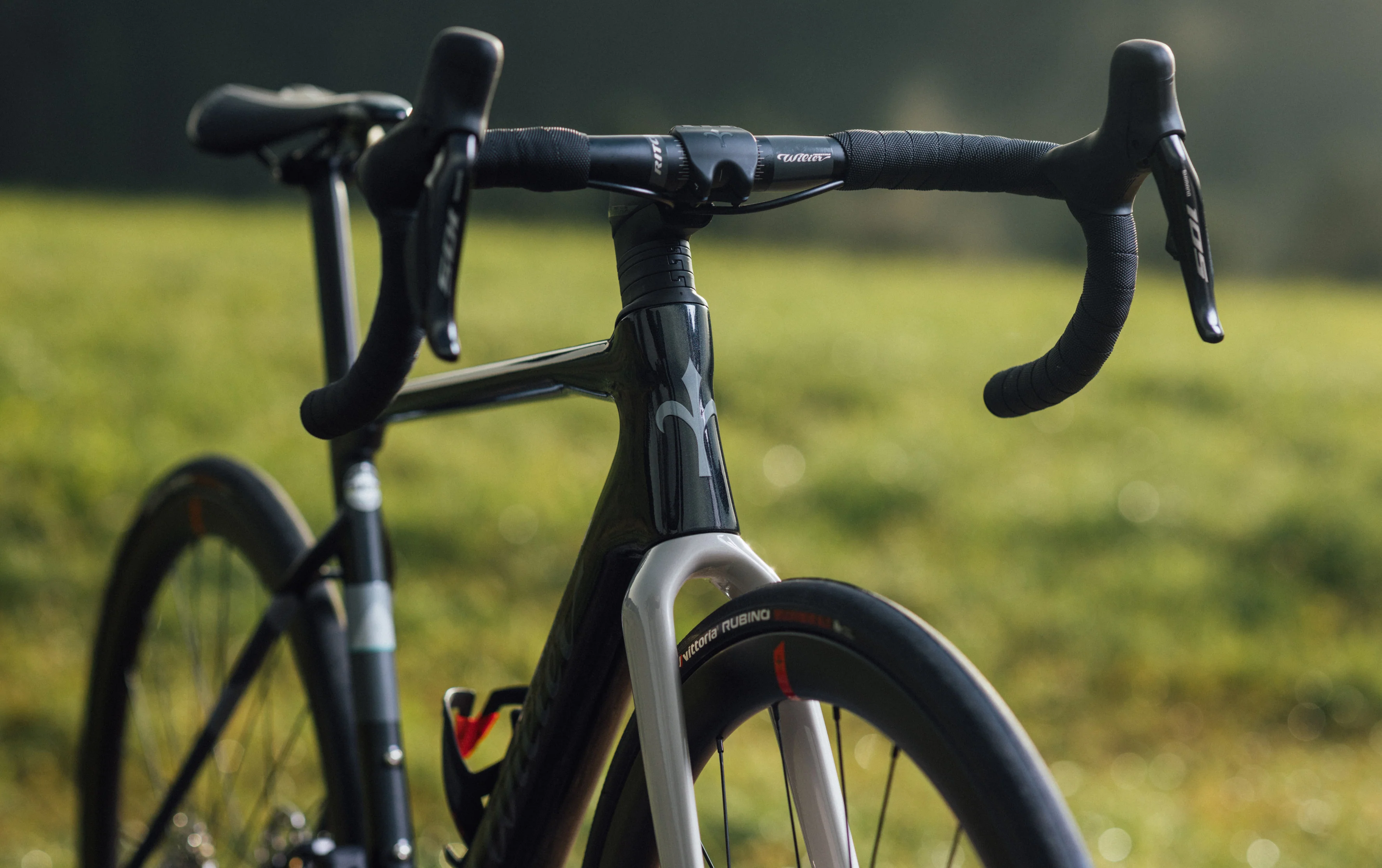 Wilier Triestina Rave SL - Image 4
