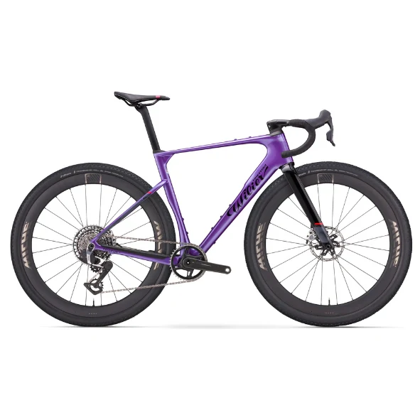 Wilier Triestina Rave SLR ID2