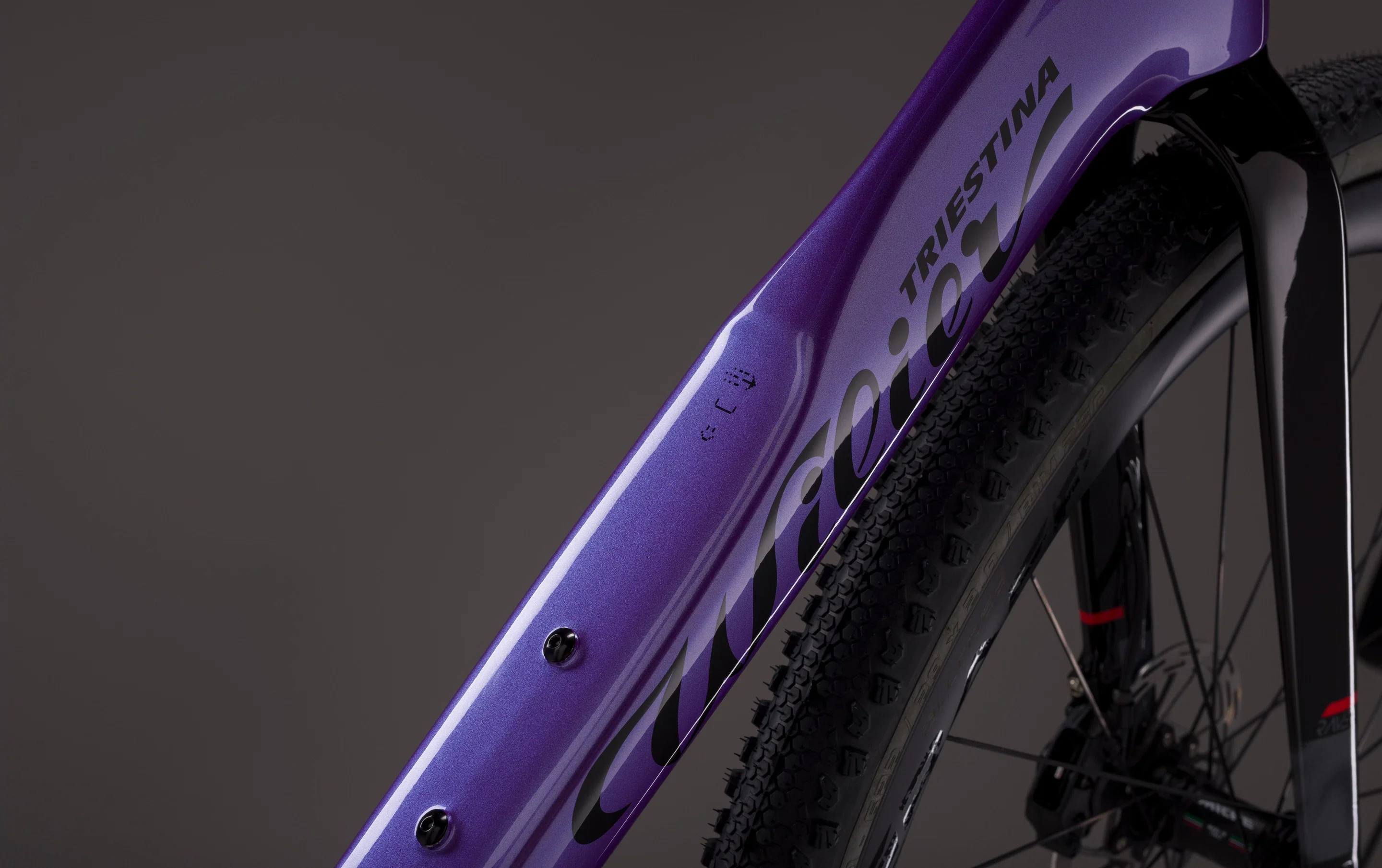 Wilier Triestina Rave SLR ID2 - Image 12